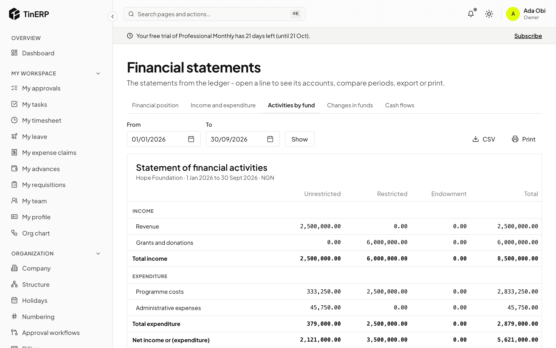 The statement of financial activities: restricted grant income and programme costs, by fund
